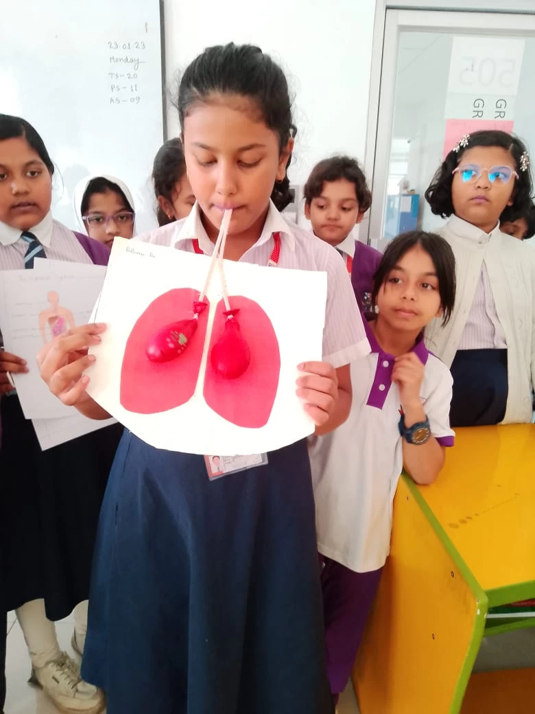 Respiratory System Project