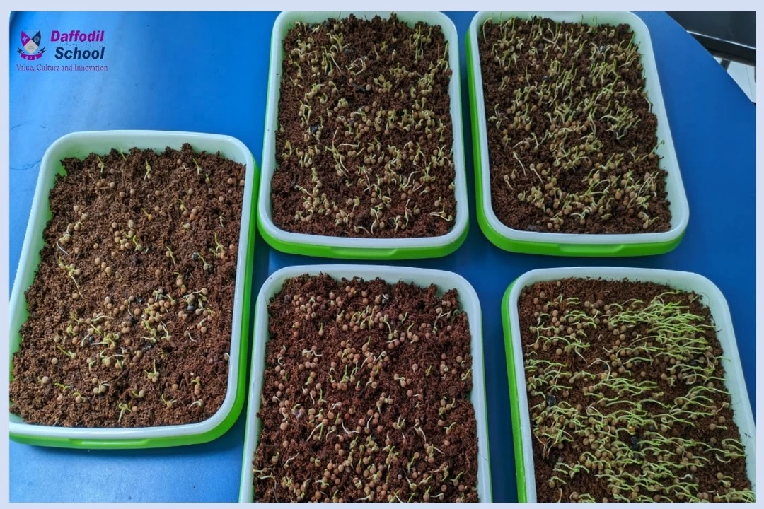 Green Classrooms : Microgreens Initiative